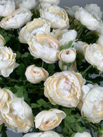 Load image into Gallery viewer, Ranunculus
