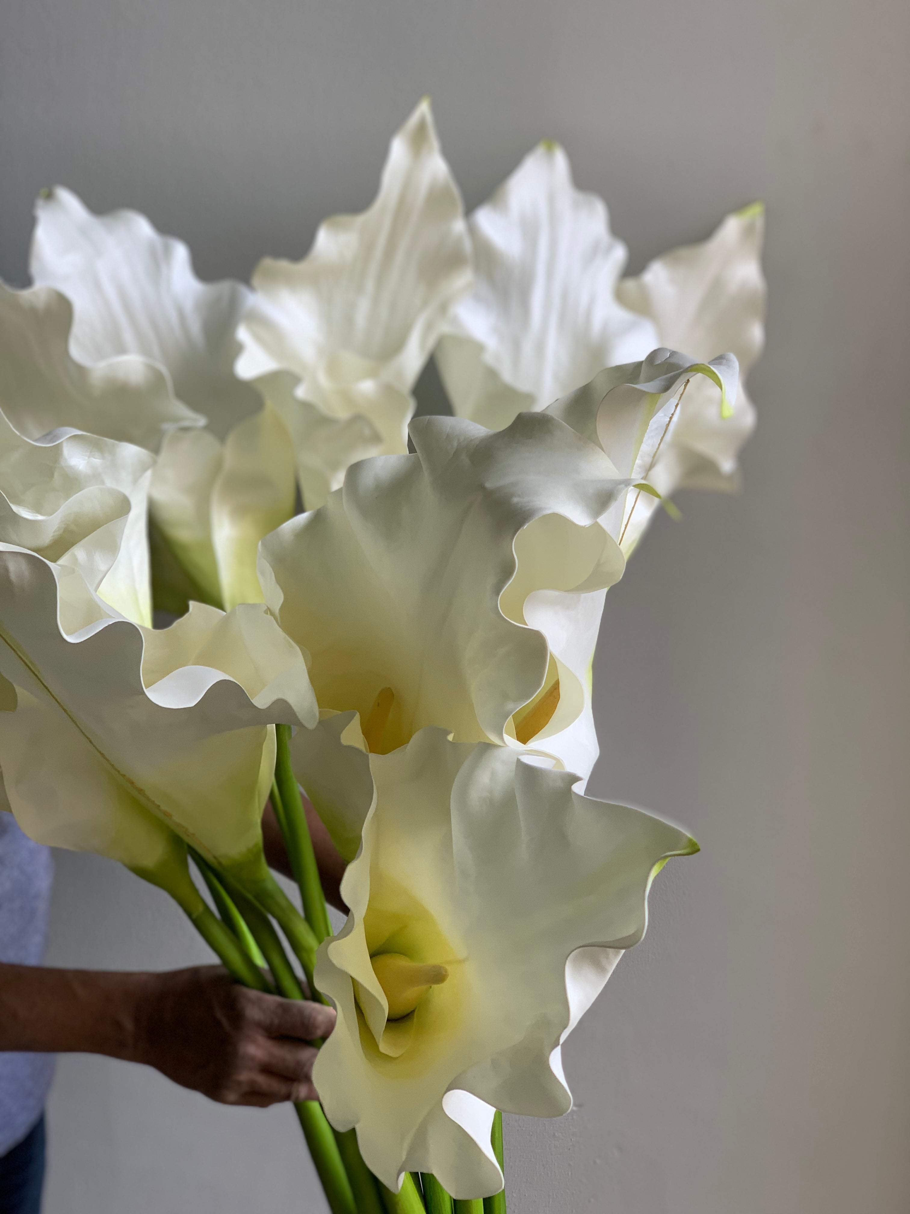 Giant white callas!